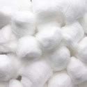 Raw cotton buy in Ahmedabad