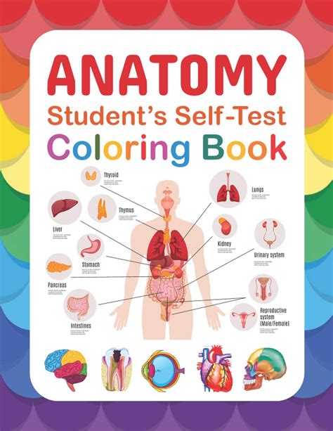 Buy Anatomy Student's Self-Test Coloring Book: Human Anatomy Learning ...