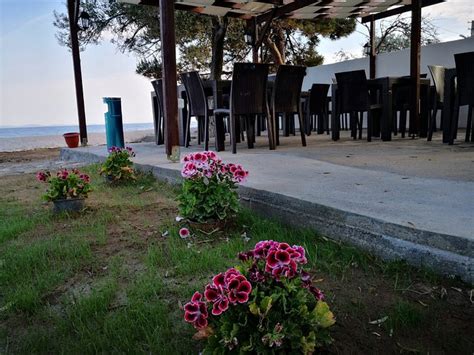 POSEIDON CAMPING BEACH (Kucukkuyu, Canakkale Province) - Campground ...