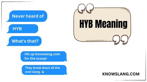 Open Hyb File 的图像结果