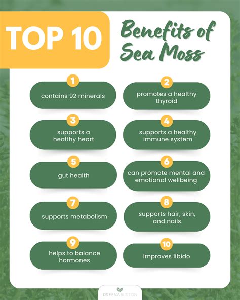 Benefits Of Sea Moss