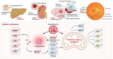Potential and Mechanism of Nobiletin in Diabetes Mellitus and ...