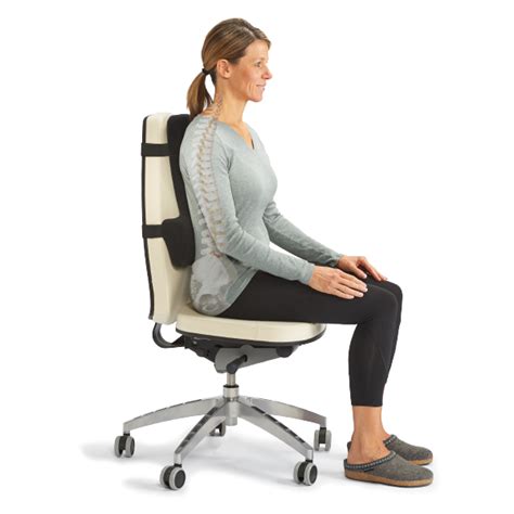 Thoracic Lumbar Back Support™ – North Bear