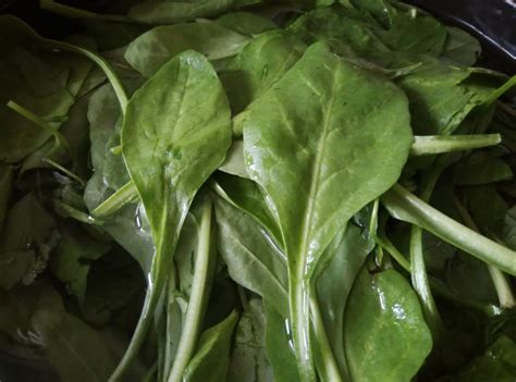 Palak Aloo ke Pakode | Palak Pakora