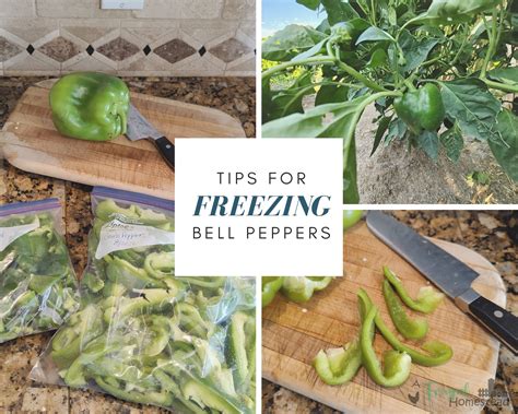 Tips for Freezing Bell Peppers