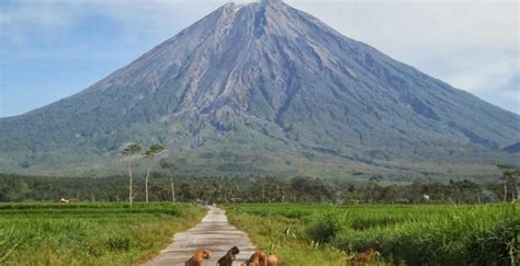 gunung slamet gunung tertinggi ke berapa di indonesia