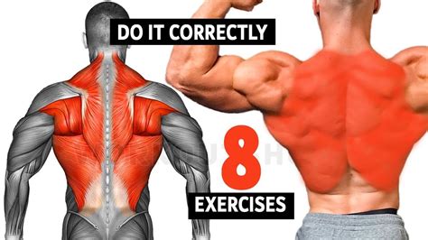 Image result for Back Muscles Exercises