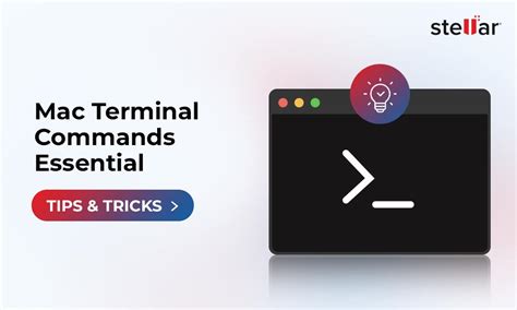 Image result for Mac Terminal Commands List