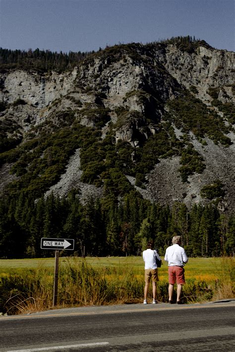 Grass Field Photography 的图像结果