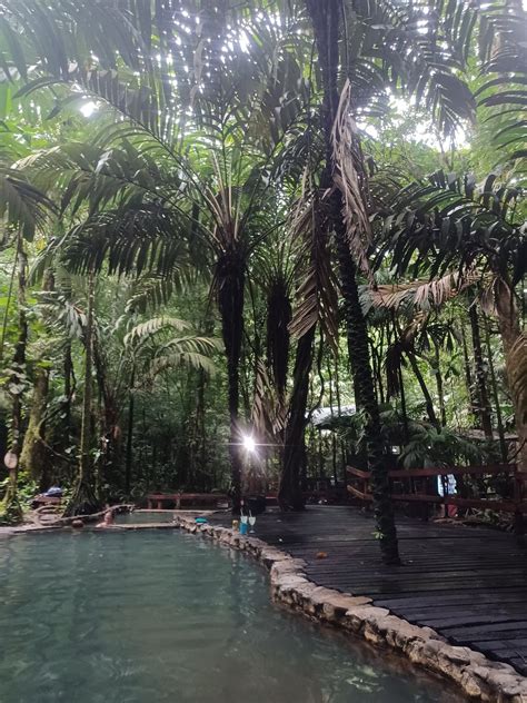 TERMALES DEL BOSQUE (San Rafaeillo) - Hotel Reviews, Photos, Rate ...