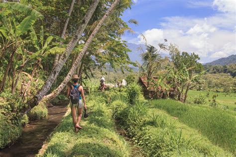 https://umadewisri.com/wp-content/uploads/2022/10/Tourist-trekking-along-the-rice-fields-and-irrigation-system-in-Sidemen_Sidemen-Bali-Villa-Uma-Dewi-Sri-1024x683.jpg