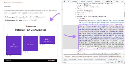 Image result for Image Tag in HTML