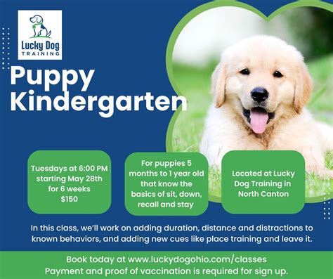 Puppy Kindergarten, Lucky Dog Training, Canton, 28 May 2024 | AllEvents.in