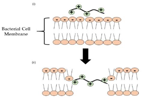 Past and Current Progress in the Development of Antiviral/Antimicrobial ...