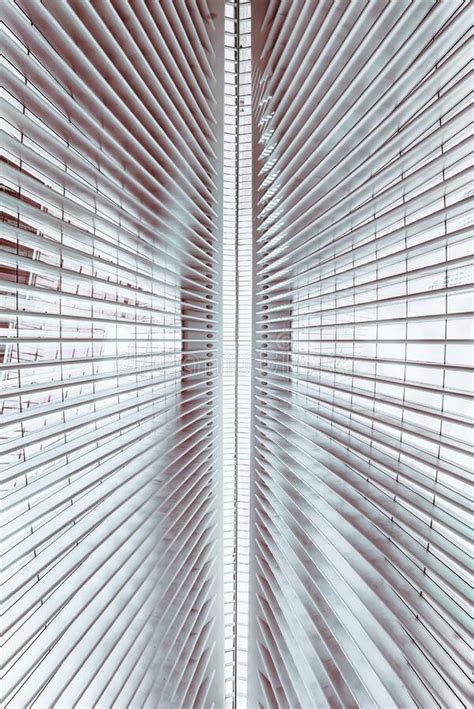 Image result for Oculus Ceiling