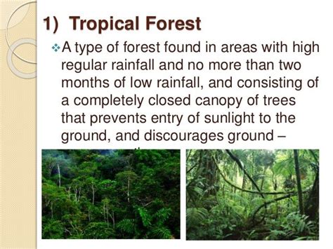 Forest types in India by home academy Prepared by: Er. Afzal Ahamed Malik