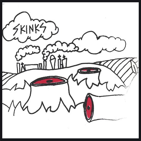 Buy Skinks Online at Low Prices in India | Amazon Music Store - Amazon.in