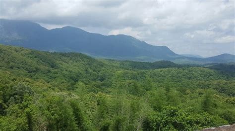 Pollachi Jeep Tourism (Pollachi Town) - 2022 What to Know Before You Go ...