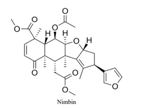 Kristu Jayanti College, Bengaluru