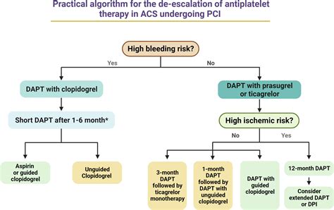 Frontiers | De-escalation of antiplatelet therapy in acute coronary ...