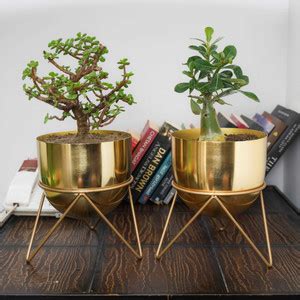HomeShastra by HomeShastra Premium Gold Pot Combo Metal Planter with ...
