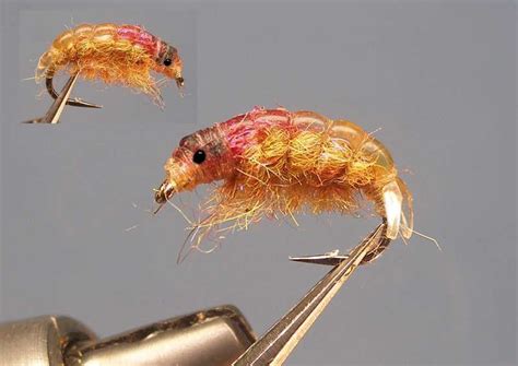 Image result for Sow Bug Fly Pattern