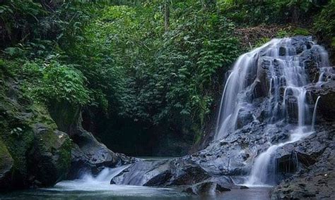 Bunutin Tourism (2024): Best of Bunutin, Indonesia - Tripadvisor