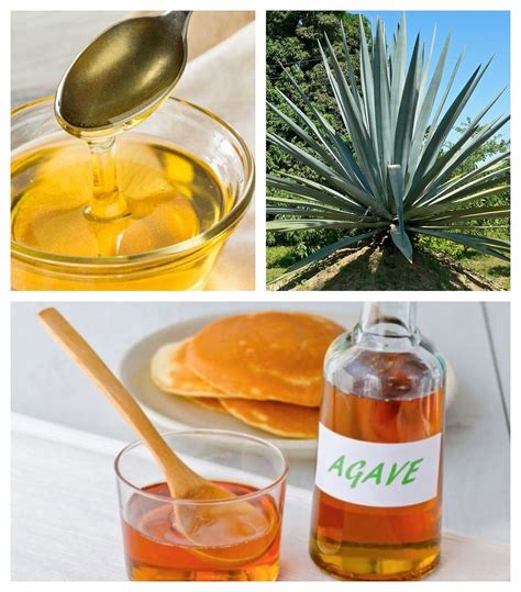 Agave Nectar Natural at Abigail Lester blog