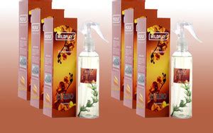 Wildplay Turbo 6pc Spray Price in India - Buy Wildplay Turbo 6pc Spray ...