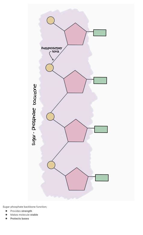 Labels KeyShot 的图像结果