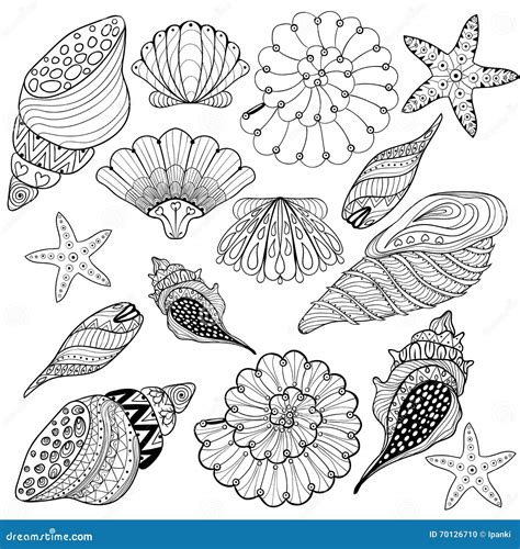 Image result for Sea Shells Printable