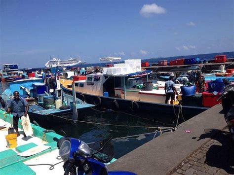 Male Fish Market - 2020 What to Know Before You Go (with Photos ...
