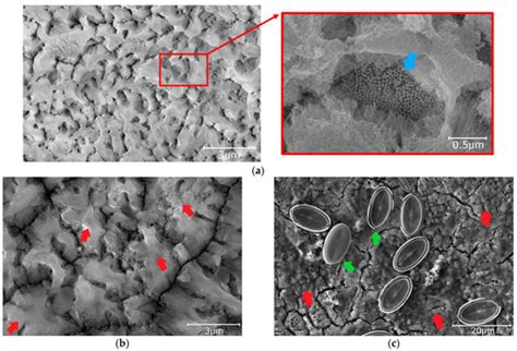 Materials | Special Issue : New Insights in Wettability and Surface ...