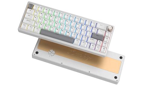 Amazon.in: Buy Womier SK65 Wireless Mechanical Gaming Keyboard, 60 ...