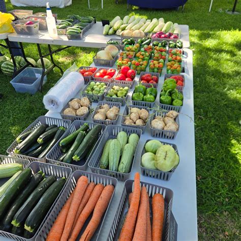 Farmers and Crafters Market, Ralston Park, Atwater, 21 August 2025 ...