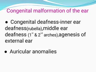 Image result for Ear Embryonic Development