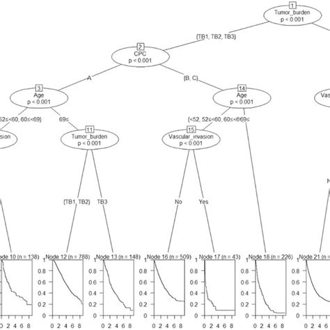 Image result for Conditional Statements in Python Tree Diagram