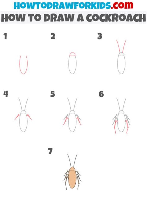 Image result for How to Draw a Cockroach Step by Step