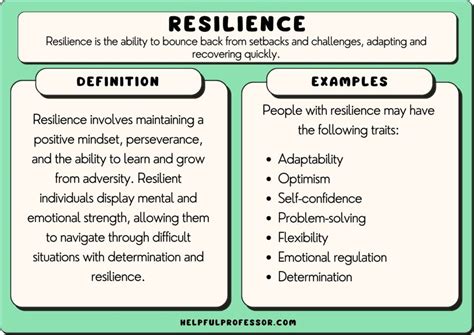 43 Resilience Examples (2026)
