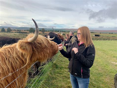 LOCH SHIN GLAMPING PODS (Lairg) - Campground Reviews, Photos, Rate ...