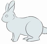 Image result for Cute Bunny Line Art
