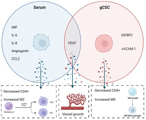 Comprehensive Assessment of Secreted Immuno-Modulatory Cytokines by ...