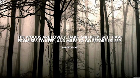 The woods are lovely, dark and deep. But I have promises to keep, and ...