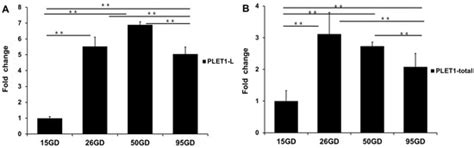 Cellular Localization and Regulation of Expression of the PLET1 Gene in ...