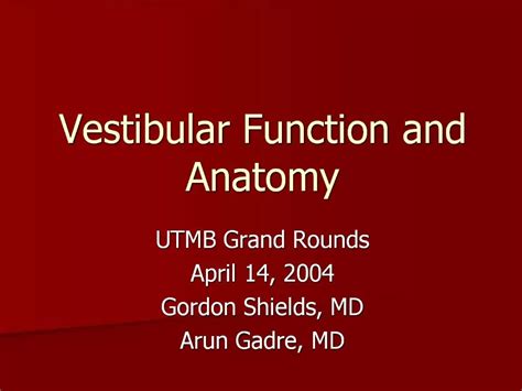 Image result for Vestibular Function