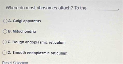 Solved: Where do most ribosomes attach? To the _ A. Golgi apparatus B ...
