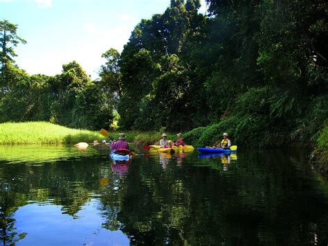 BABINDA KAYAKING (2026) All You Need to Know BEFORE You Go (w/ Reviews ...