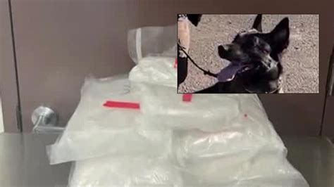 K9 officer nabs California man with meth in northern Arizona, CCSO says ...