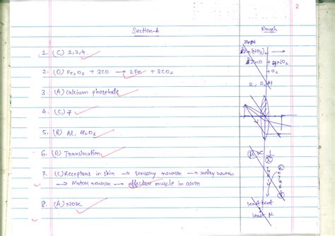 Science-2 - buy - 2 Section A Rough Znpt 1. (c) 2,2,4. (NO3) 3 Zno 4NO2 ...