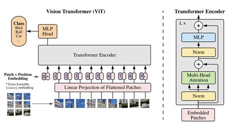 Vision Transformer 的图像结果